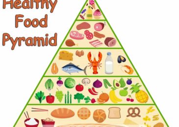New healthy food pyramid for health